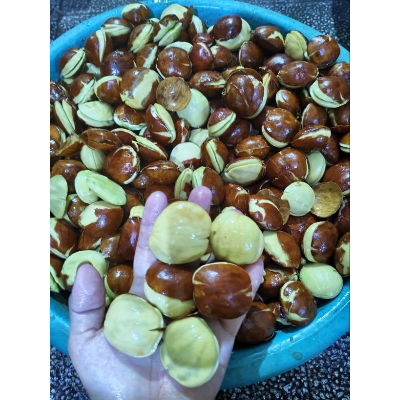 

jengkol super tua punel 1kg