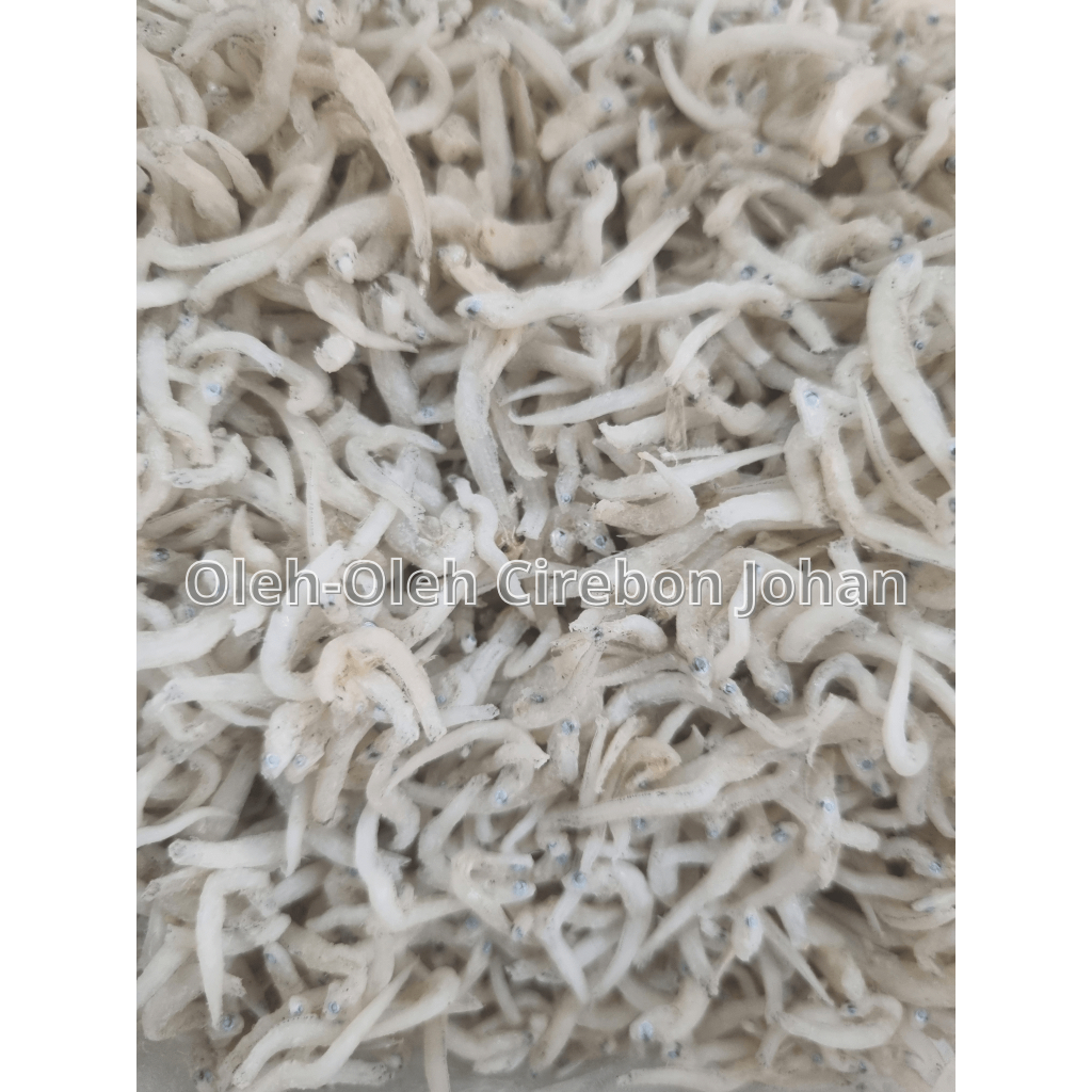 

Teri Tawar Asli - Teri Tawar Fresh - Teri Tawar 100g