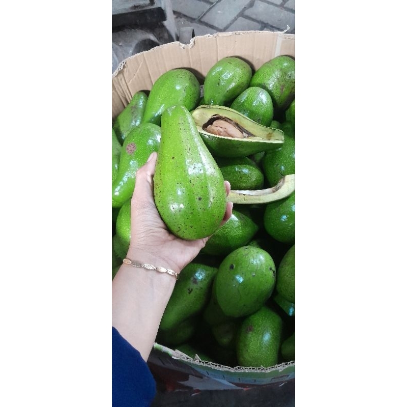

alpukat mentega, sekilo isi 3
