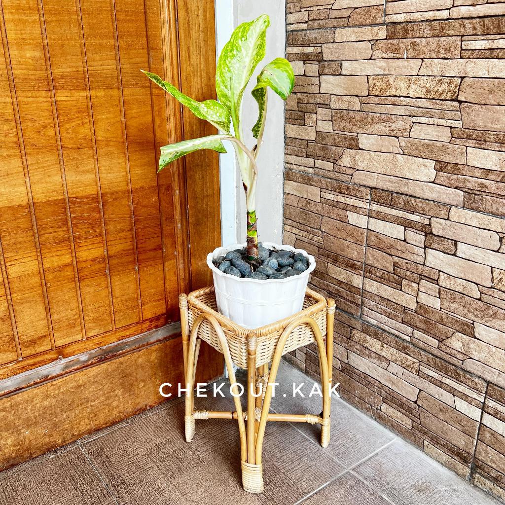 standing pot rotan/ pot rotan aesthetic/ cover pot minimalis/standing pot bunga/ pot bunga/ cover po