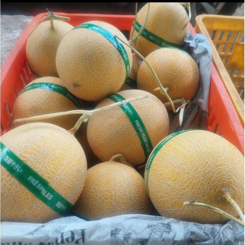 

Melon Inthanon 1kg