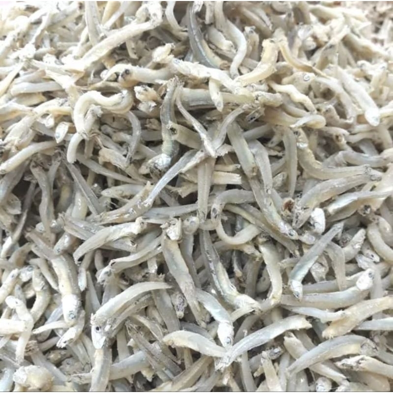

Ikan Teri Buntiu Asli Medan