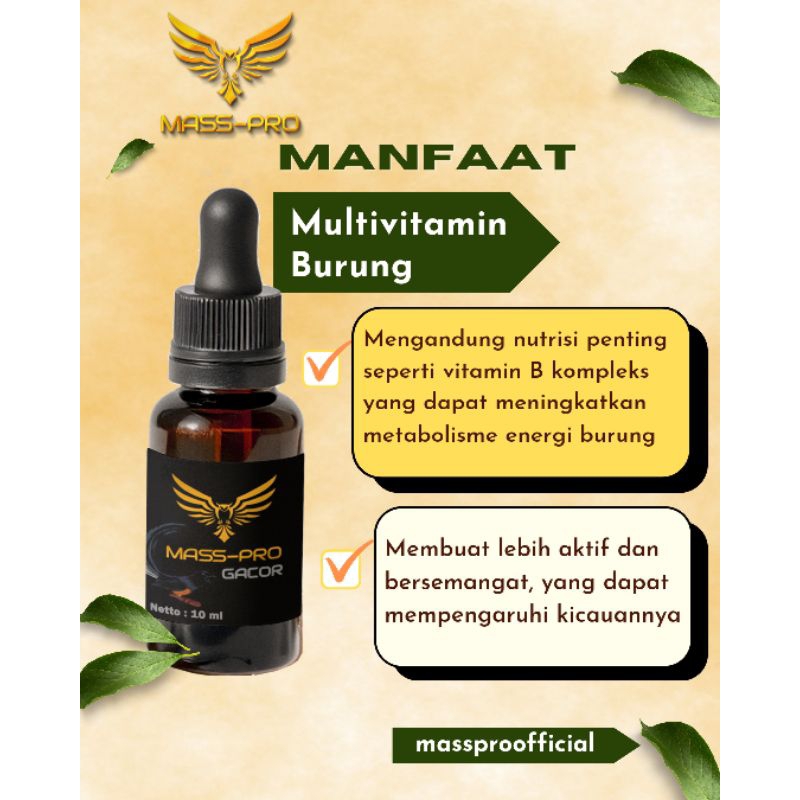 Multivitamin Penggacor Burung Murai