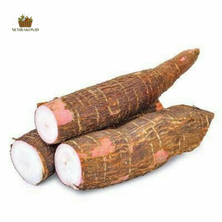 

INSTAN- SINGKONG | SINGKONG KAYU | GUMBILI KAYU | UBI KAYU SINGKONG 1KG
