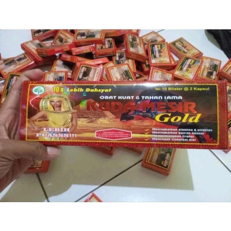 JUAL 100% ORIGINAL KUDA MESIR GOLD