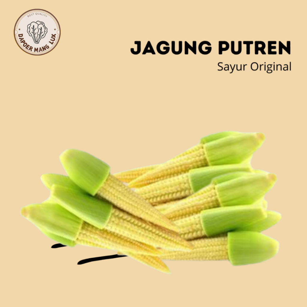 

JAGUNG PUTREN 1 KG FRESH VEGETABLE BEST QUALITY