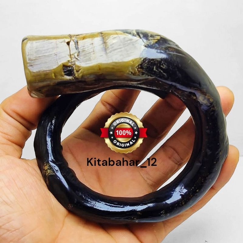 Gelang Akar Bahar Hitam Asli Bonggol Berbatu Jumbo Berkualitas Original 100%