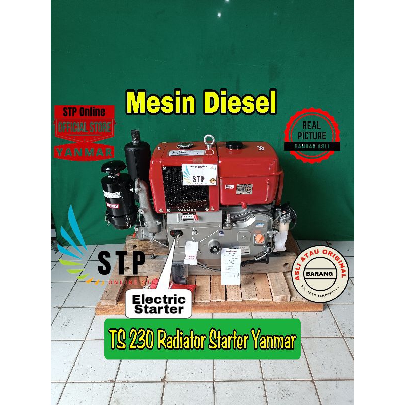 MESIN DIESEL TS230RE RADIATOR STATER YANMAR