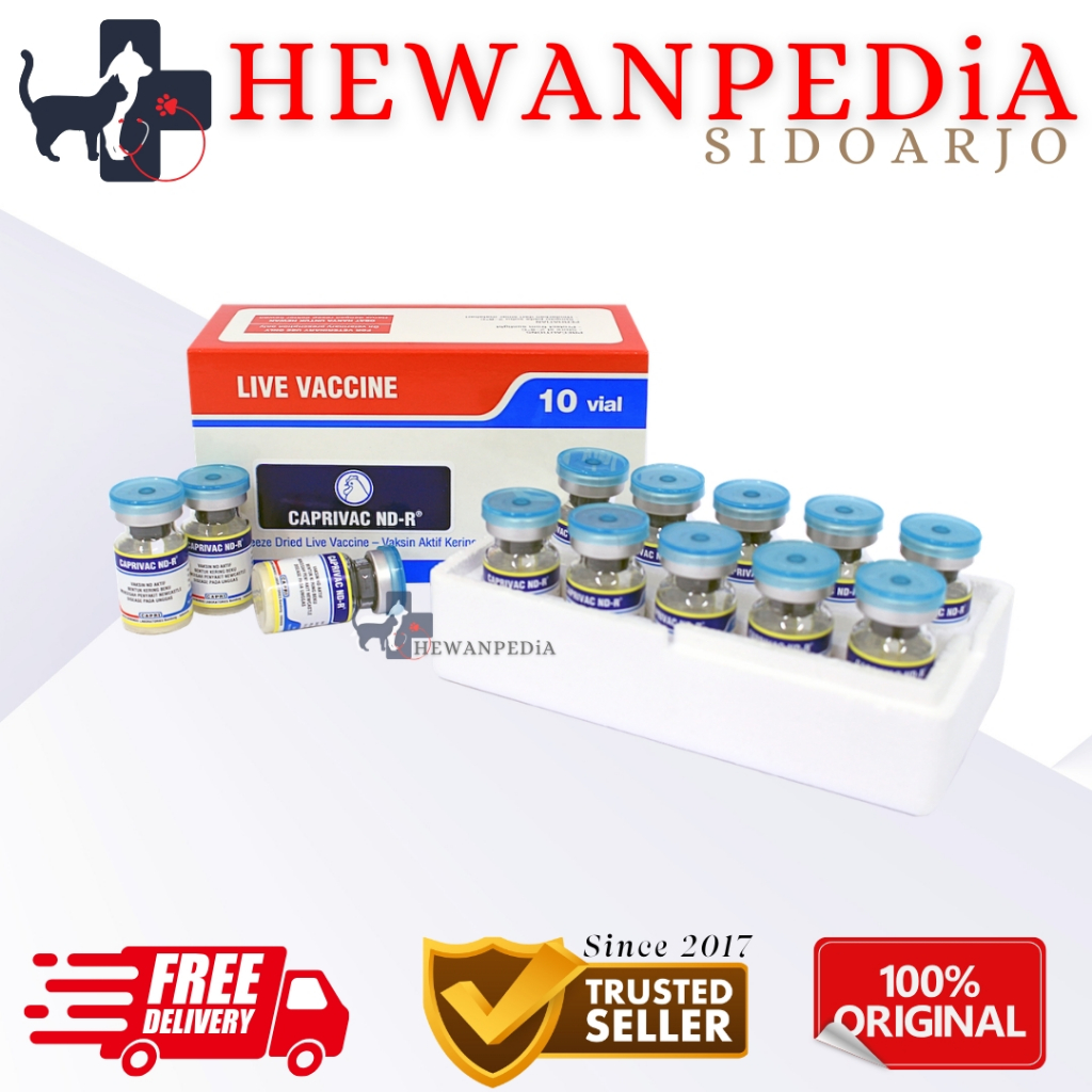 VAKSIN NDR 1000 ds SANBE CAPRIVAC Hewanpedia - Vaksin Ayam Nd Tetelo Telo Muntir Unggas Aratan Newca