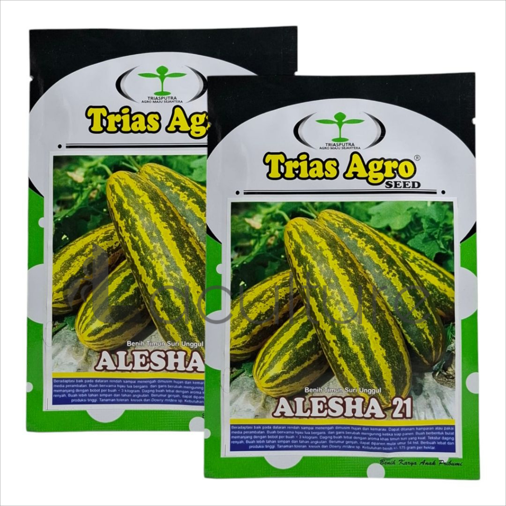 Benih Timun Suri Loreng ALESHA 21 Isi 10 gram Trias Agro Seed
