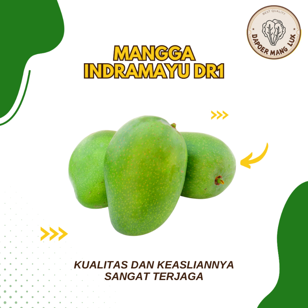 

MANGGA INDRAMAYU DR 1 500 GRAM DAN 1 KG BEST QUALITY