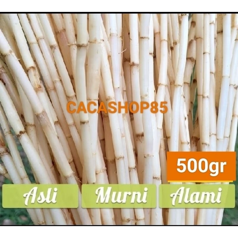 

AKAR ALANG ALANG SEGAR 500GR
