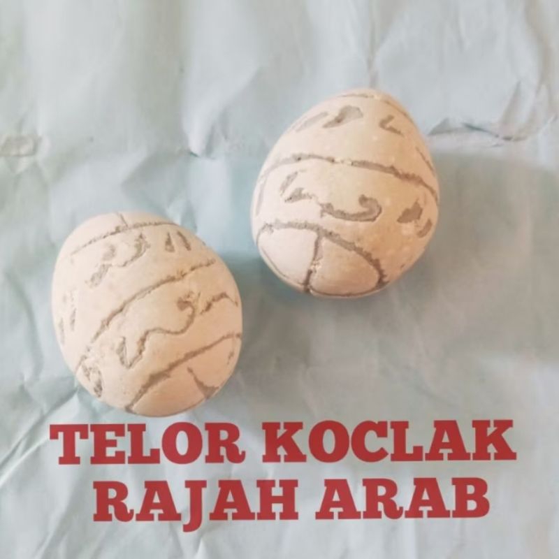 

Tulur Koclak Rajah Ukuran Telur Puyuh