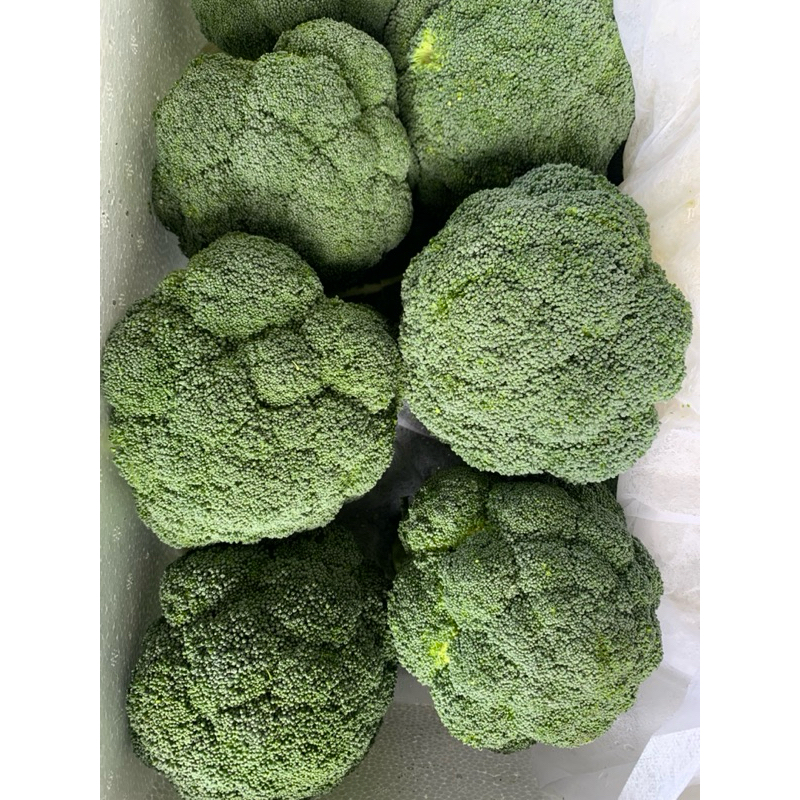 

Brokoli Impor Fresh - 500gram