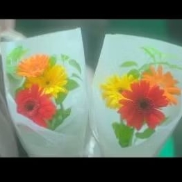 buket bunga garbera 3 warna