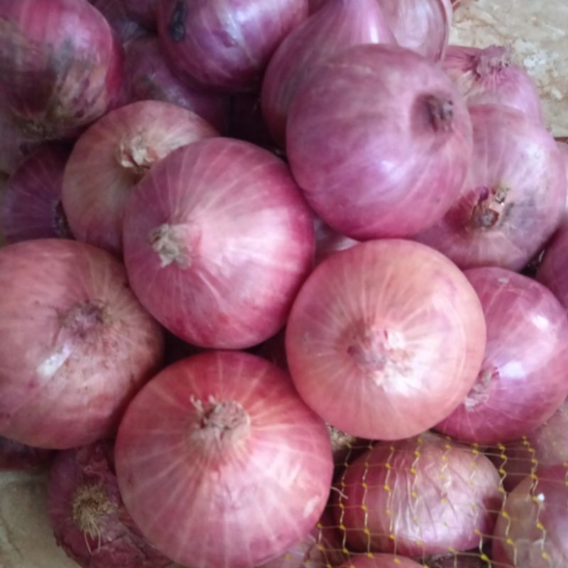 

Bawang merah india uk. kecil campur