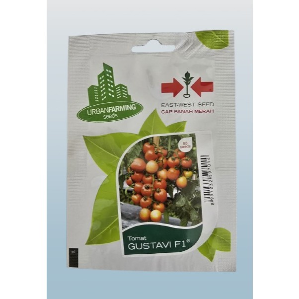 Benih Tomat Hibrida GUSTAVI F1