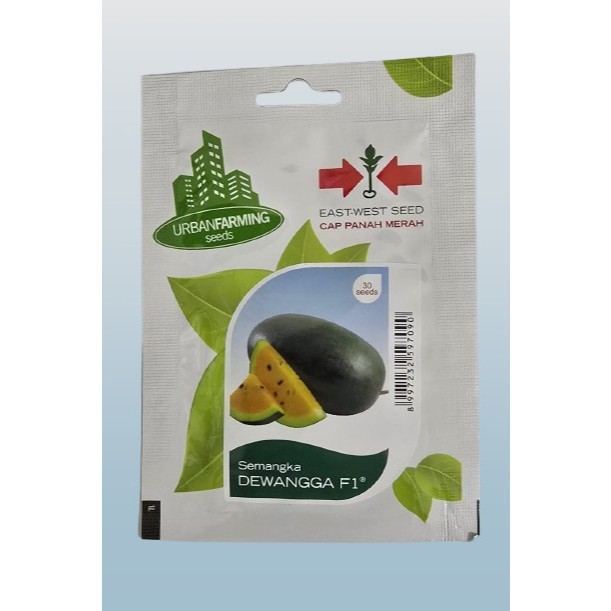 Benih Semangka Kuning Hibdrida DEWANGGA F1