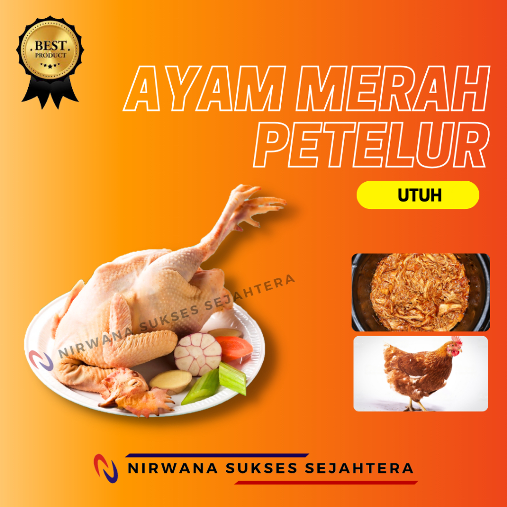 

AYAM MERAH PETELUR UTUH/ WHOLE LAYING RED HEN