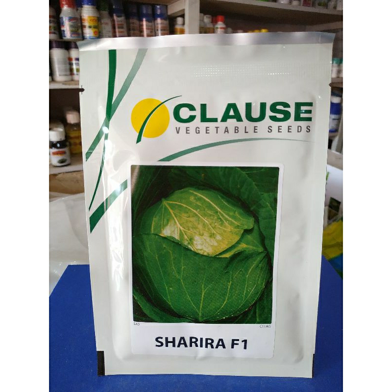 Benih Kol SHARIRA F1 Clause - 15 Gram