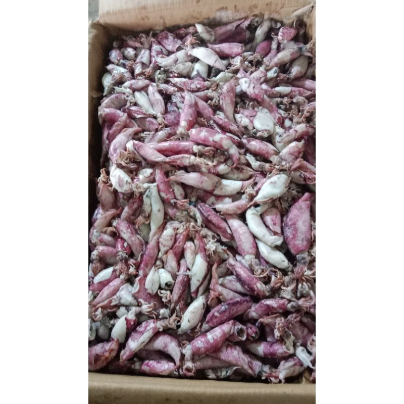 

cumi asin murah lezat dan gurih 500gr