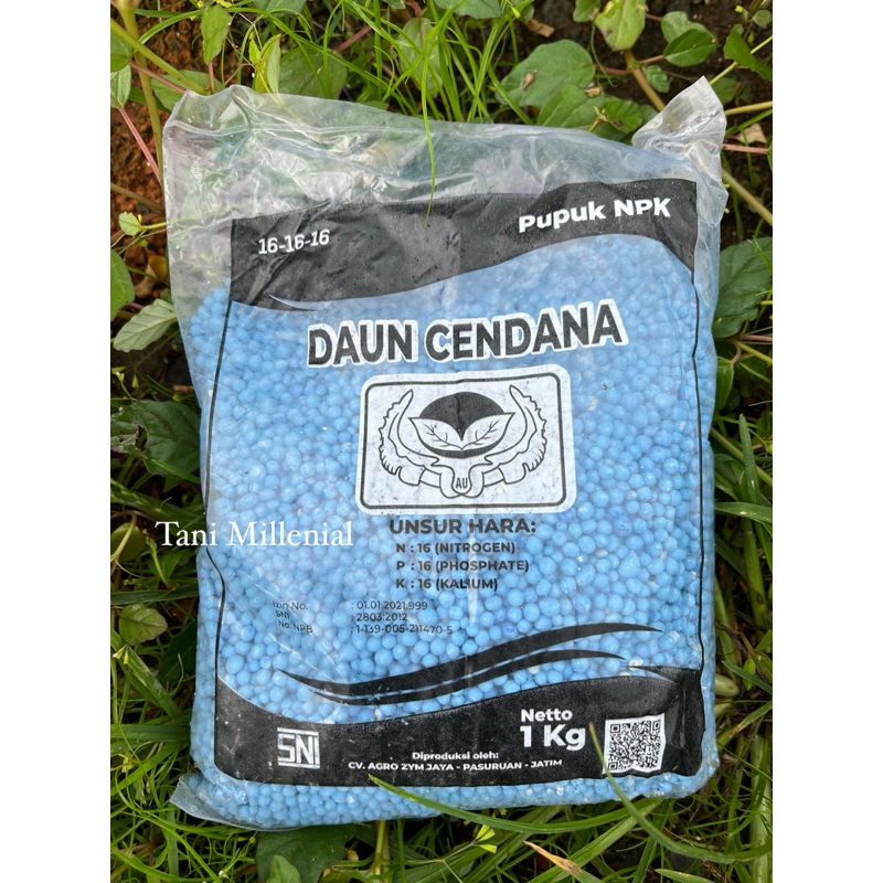 pupuk NPK 16 16 16 cap daun cendana