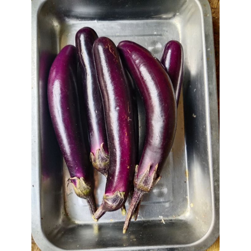 

terong lalap terong ungu 500gr mang sayur