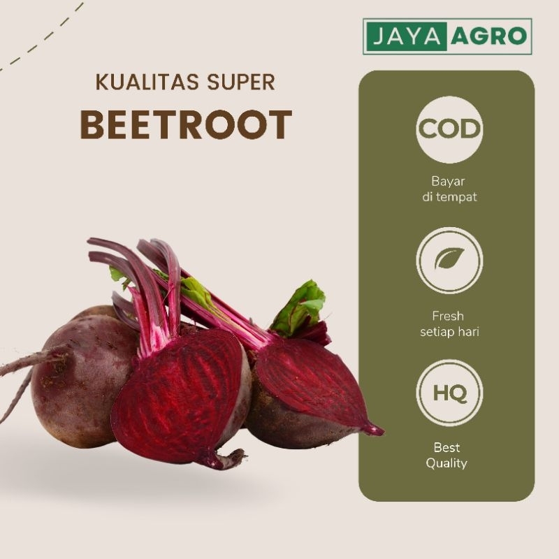 

Beetroot buah bit super 1KG TERMURAH kualitas bagus COD