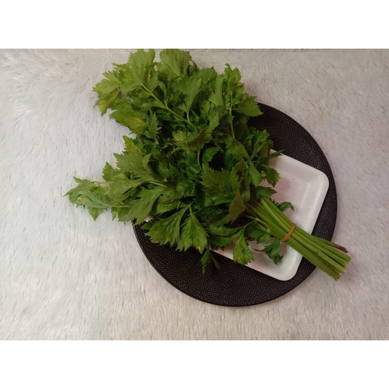 

daun sledri