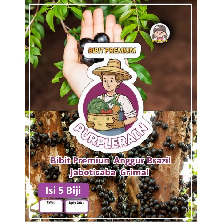Bibit Premium Buah Anggur Brazil -Jaboticaba | Biji Benih Anggur Brazil