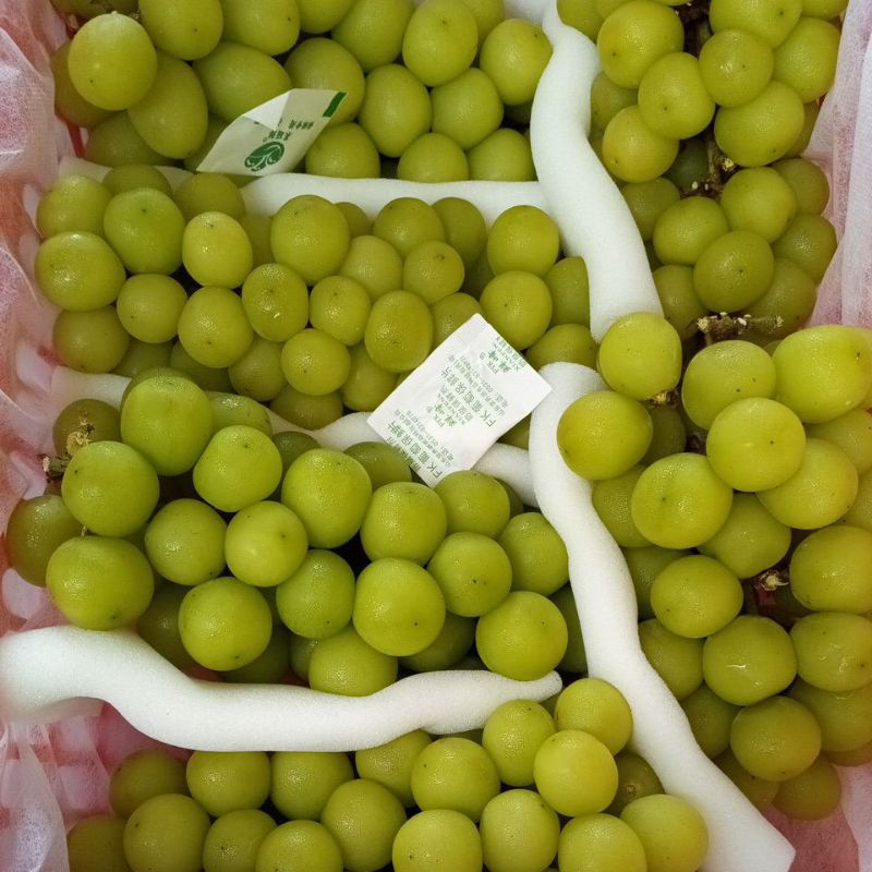 

Anggur Shine Muscat 500gr