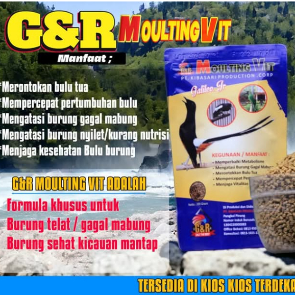 VOER G&R MOULTING VIT VOER GNR MOULTING VIT VOER MABUNG  UNTUK BURUNG MURAI DAN KACER NGURAK