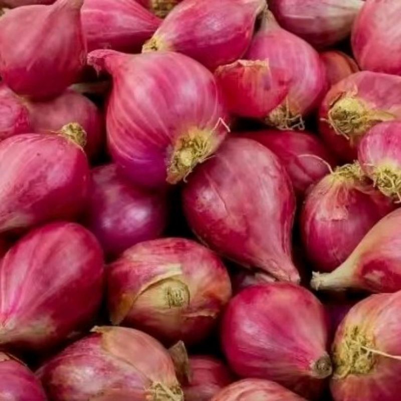 

bawang merah brebes asli