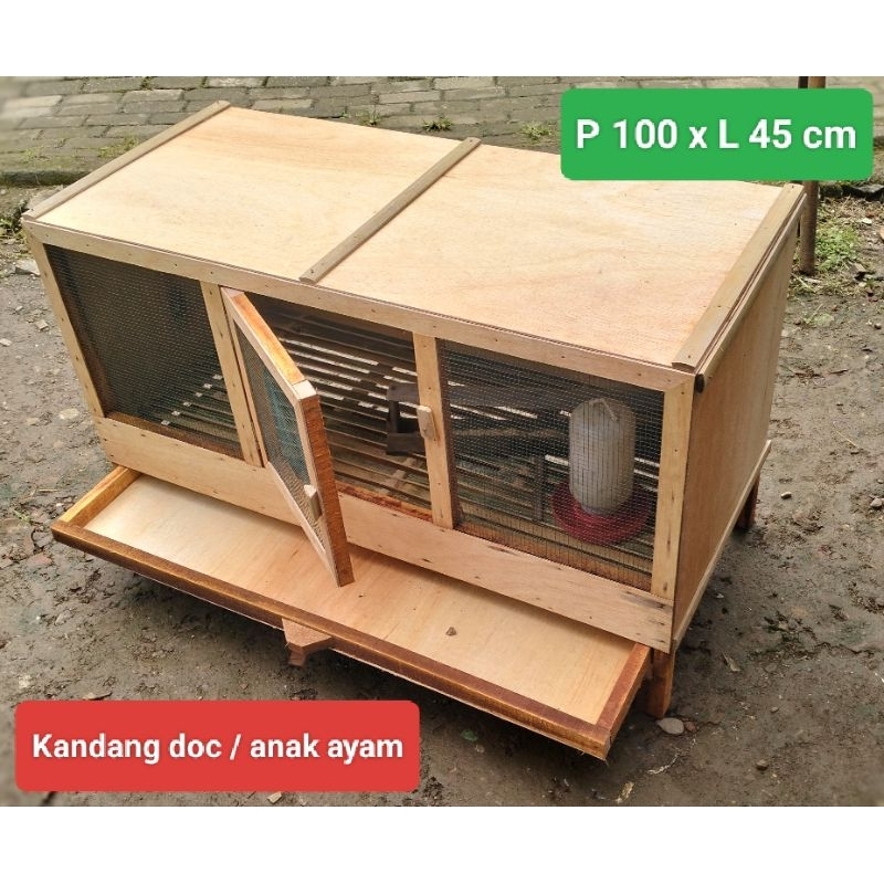 Kandang box doc, kandang anak ayam