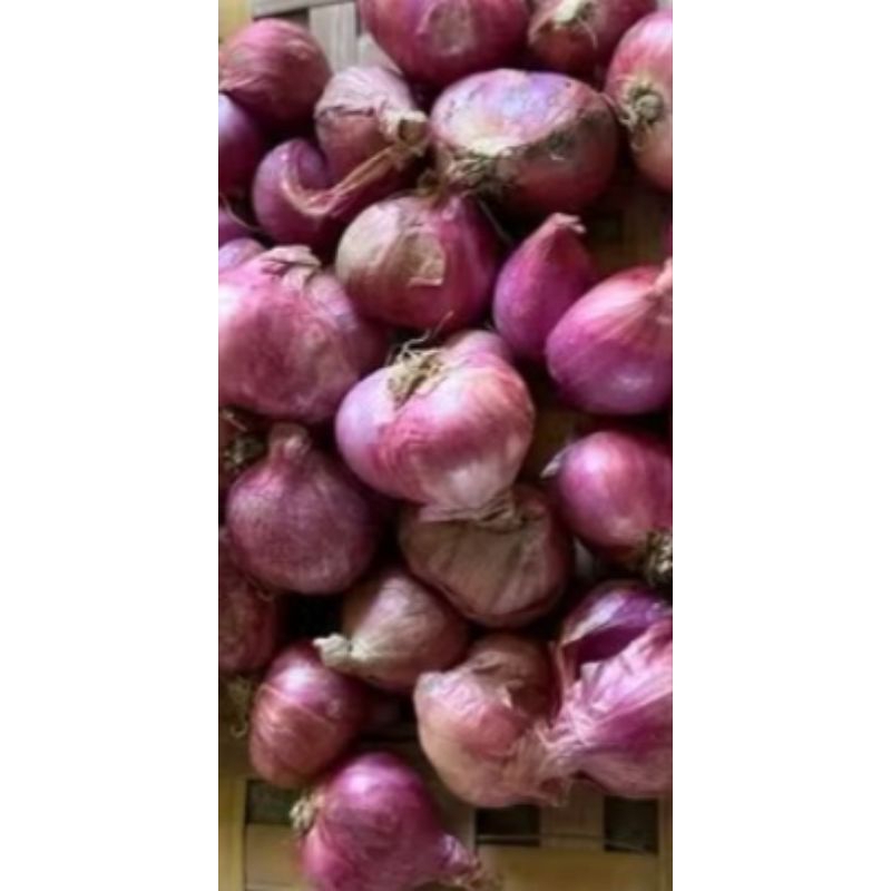 

Bawang merah ,berat 250 gram , sedang dan besar