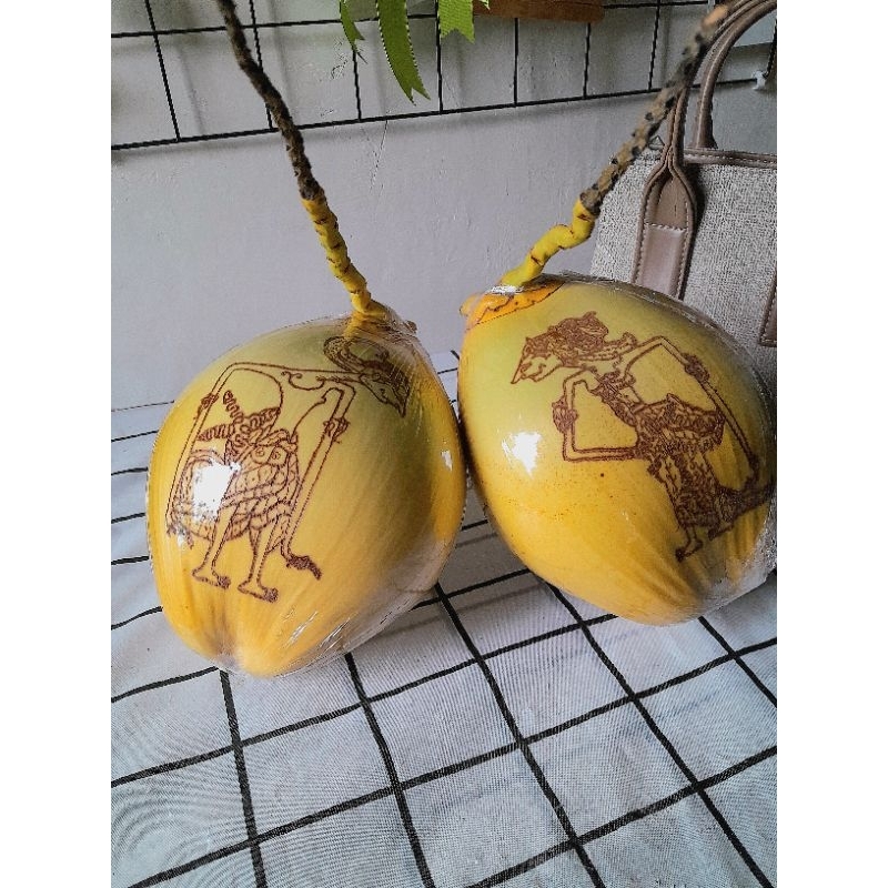 [COD] Kelapa gading lukis 7 bulanan / kelapa 7 bulanan adat jawa/ tingkepan