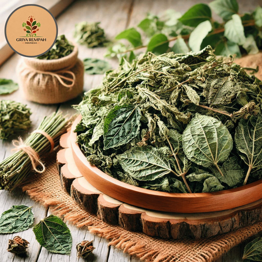 

DAUN BINAHONG KERING 500 GRAM – Ada Ranting Ramuan Rempah Herbal Kering Alami untuk Kesehatan Tubuh Jamu Tradisional Simplisia Anredera cordifolia