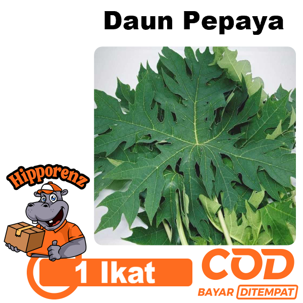 

Daun Pepaya 1 Ikat Per 65 Gram
