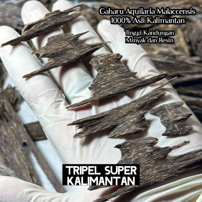 Kayu Gaharu Tripel Super Gaharu Super Gaharu Asli Kalimantan 100gr