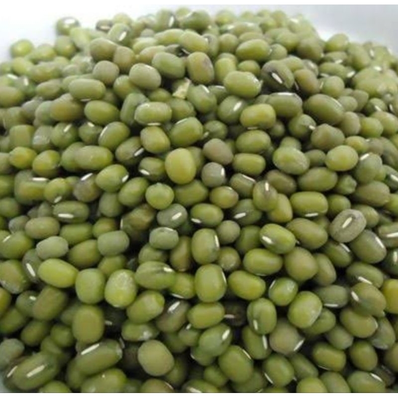 

kacang Hijau large green berkualitas super tanpa pengawet dan pewarna buatan cocok buat bubur.dll 200gram -500grm -1kg