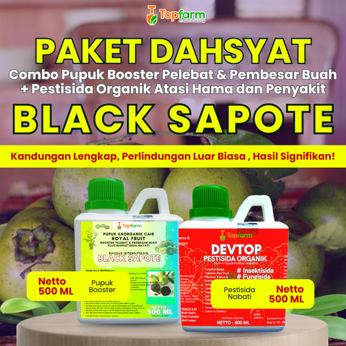 Pupuk Topfarm / Pestisida Topfarm / Pupuk Khusus Black Sapote / Obat Semprot Buah Black Sapote / Oba