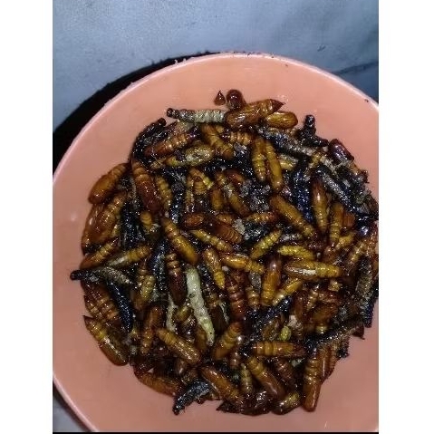 

Ulat Jati Goreng