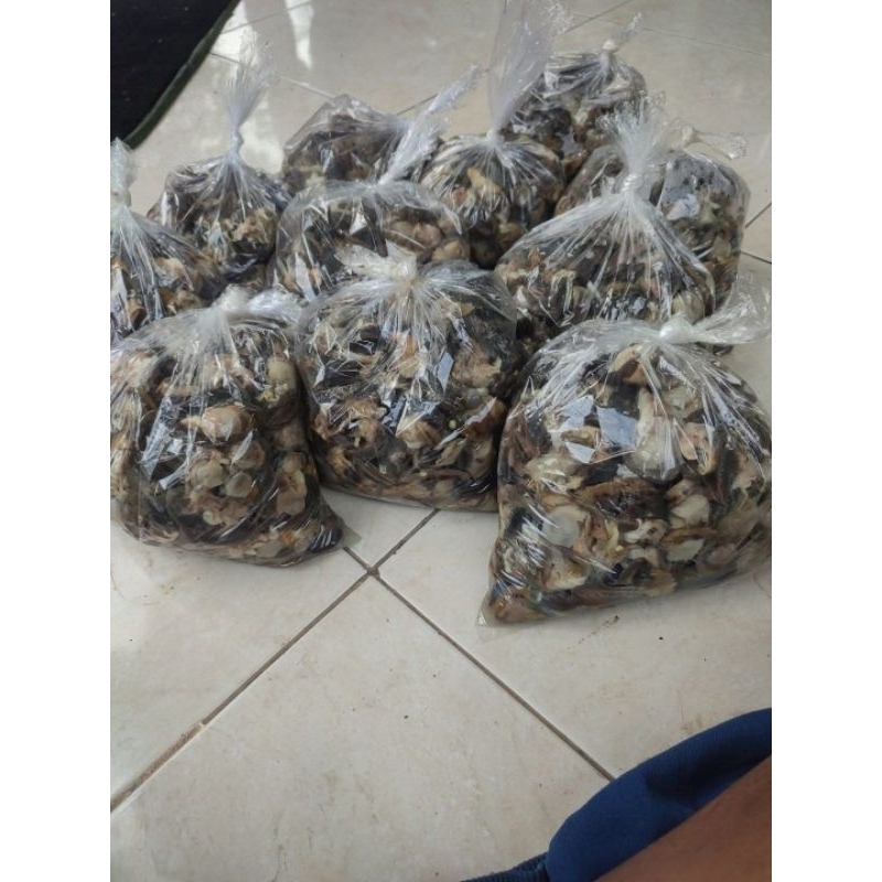 

bekicot mentah 1kg kotor tinggal bersihin siap masak ..bergizi menolak sistem cod