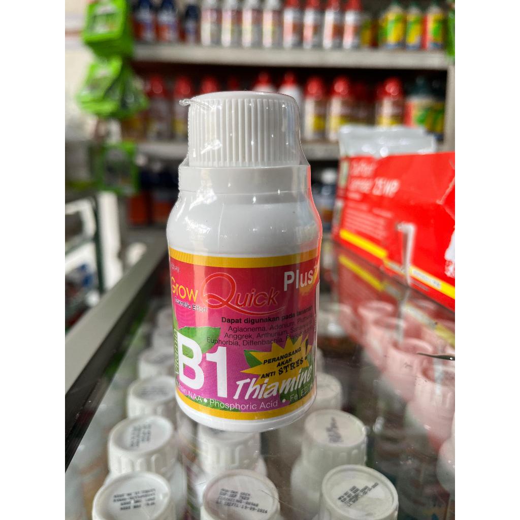 GROW B1 THIAMINE PERANGSANG AKAR ANTI STRES TANAMAN