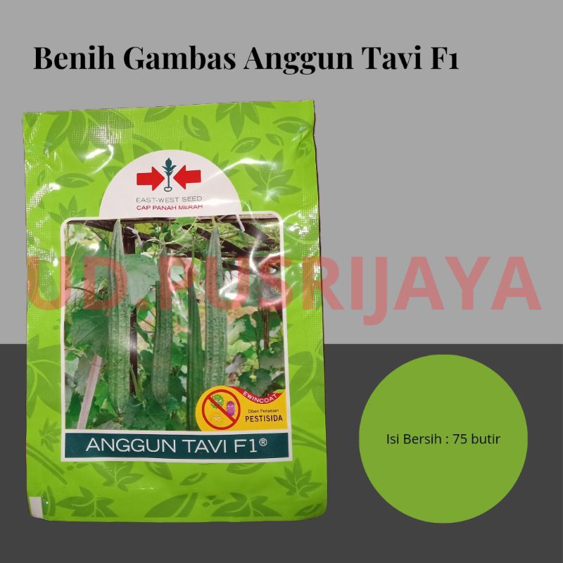 Benih Gambas/oyong Anggun Tavi F1