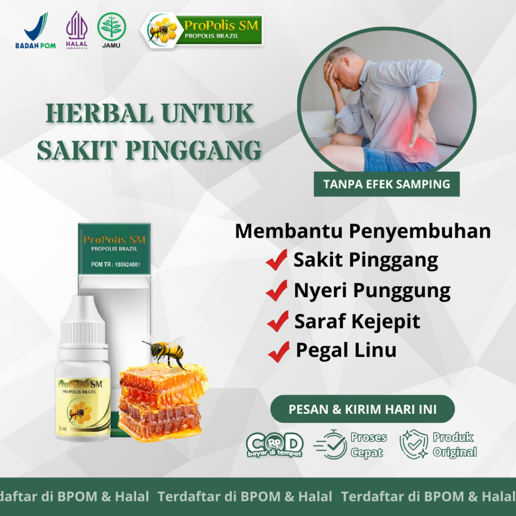 Propolis SM Brazil – Herbal untuk Nyeri Pinggang, Saraf Kejepit, Asam Urat, Rematik & Sakit Punggung