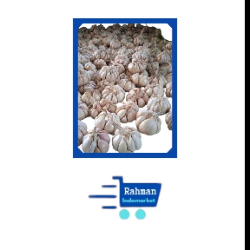 

BAWANG PUTIH 100gr 250gr