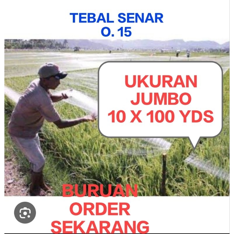 JARING BURUNG, JARING SAWAH JARING PERKUTUT UKURAN JUMBO 10 M X 100 YDS TEBAL SENAR O. 15