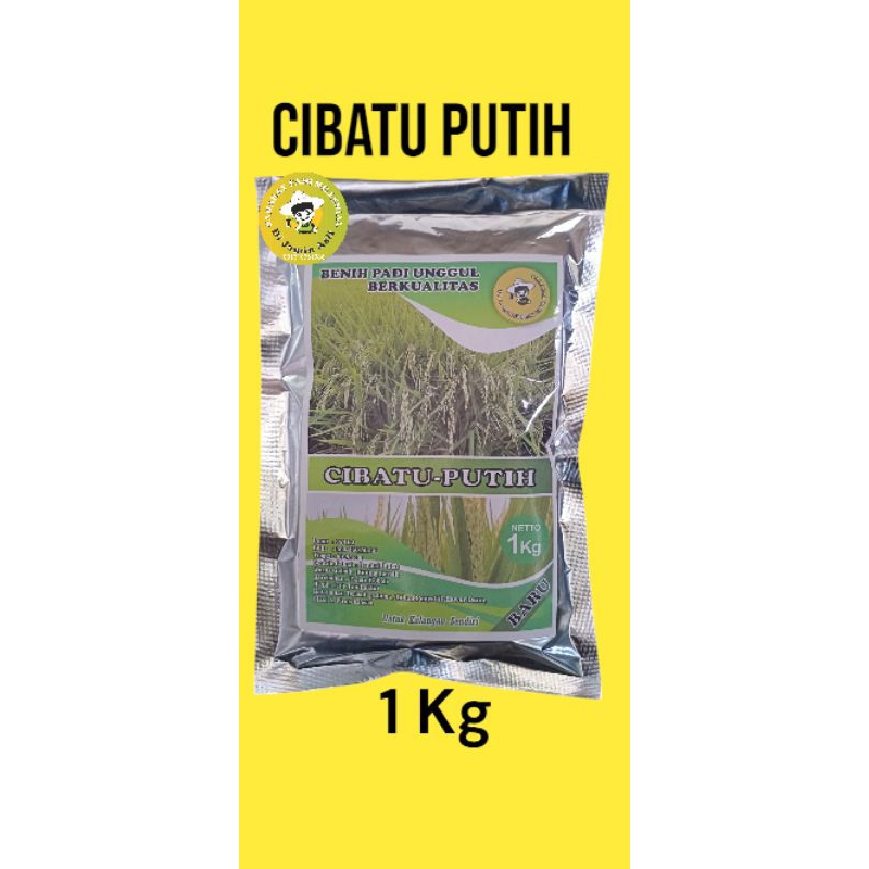 Benih Padi Cibatu putih Original 1 Kg