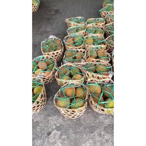 

BUAH DURIAN KERANJANGAN UNTUK USAHA